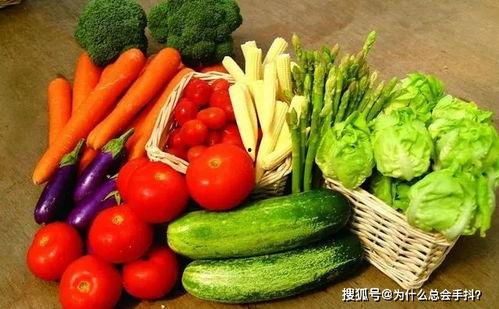 蕃瓜天天吃,健康生活每一天