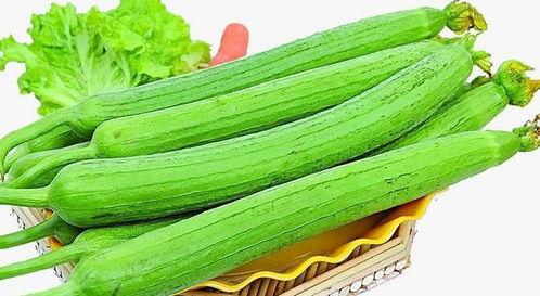蕃瓜天天吃,健康生活每一天
