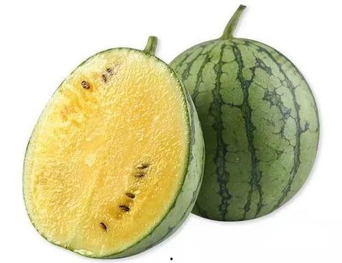 圆形翠绿瓜怎么吃,翠绿圆形瓜的美味食法揭秘