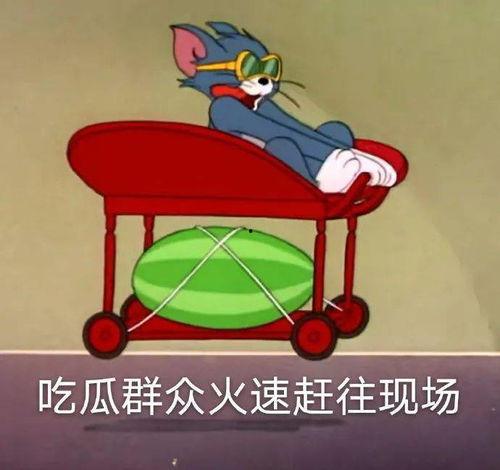 相亲对象发吃瓜,揭秘相亲对象的神秘面纱