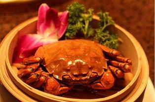 大闸蟹可以吃籽瓜吗,美味搭配的饮食探索