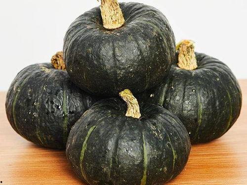 婴儿吃葫芦瓜好吗