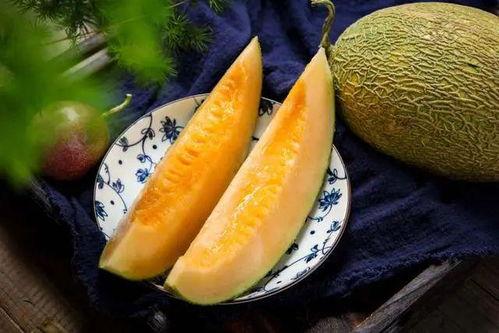 吃哈密瓜的季节,尽享时令美味