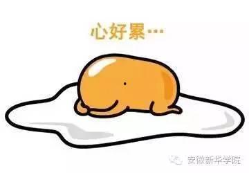 吃瓜被骗怎么退钱,教你如何巧妙退回被骗款项