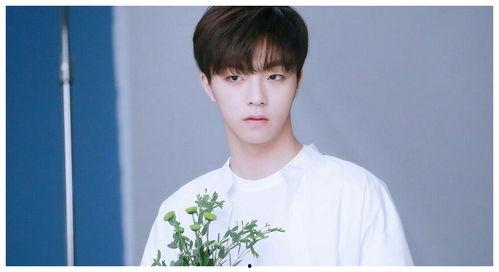 今日吃瓜陈立农,揭秘娱乐圈背后的故事