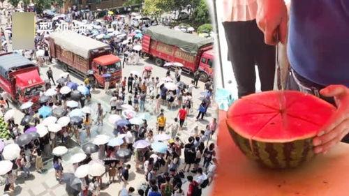 大学吃瓜看热闹,吃瓜看热闹的欢乐时光