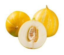 小蜜在线吃瓜,揭秘娱乐圈幕后故事