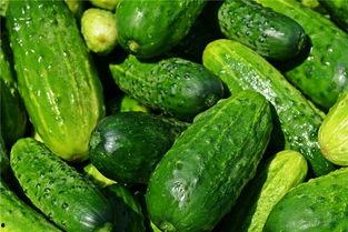 梦见自己吃蜜瓜,揭秘梦见吃蜜瓜的深层寓意